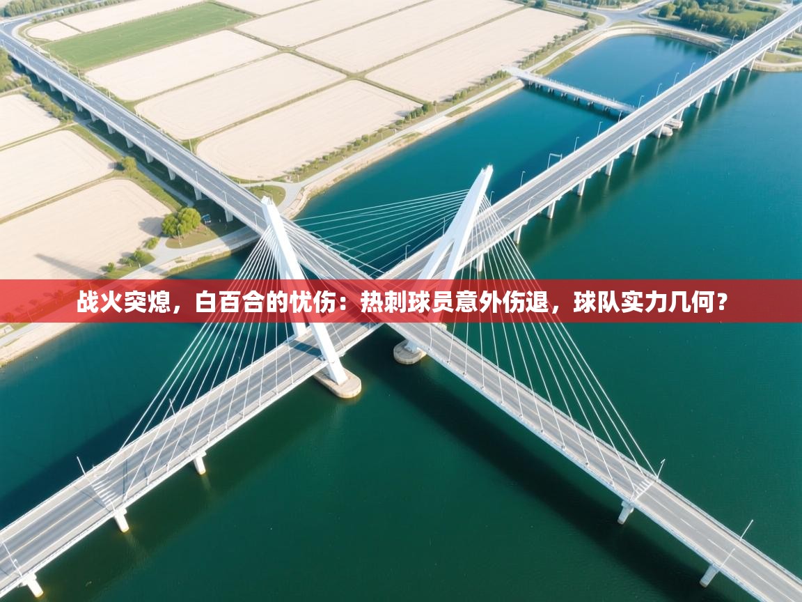 战火突熄,白百合的忧伤:热刺球员意外伤退,球队实力几何? 第2张