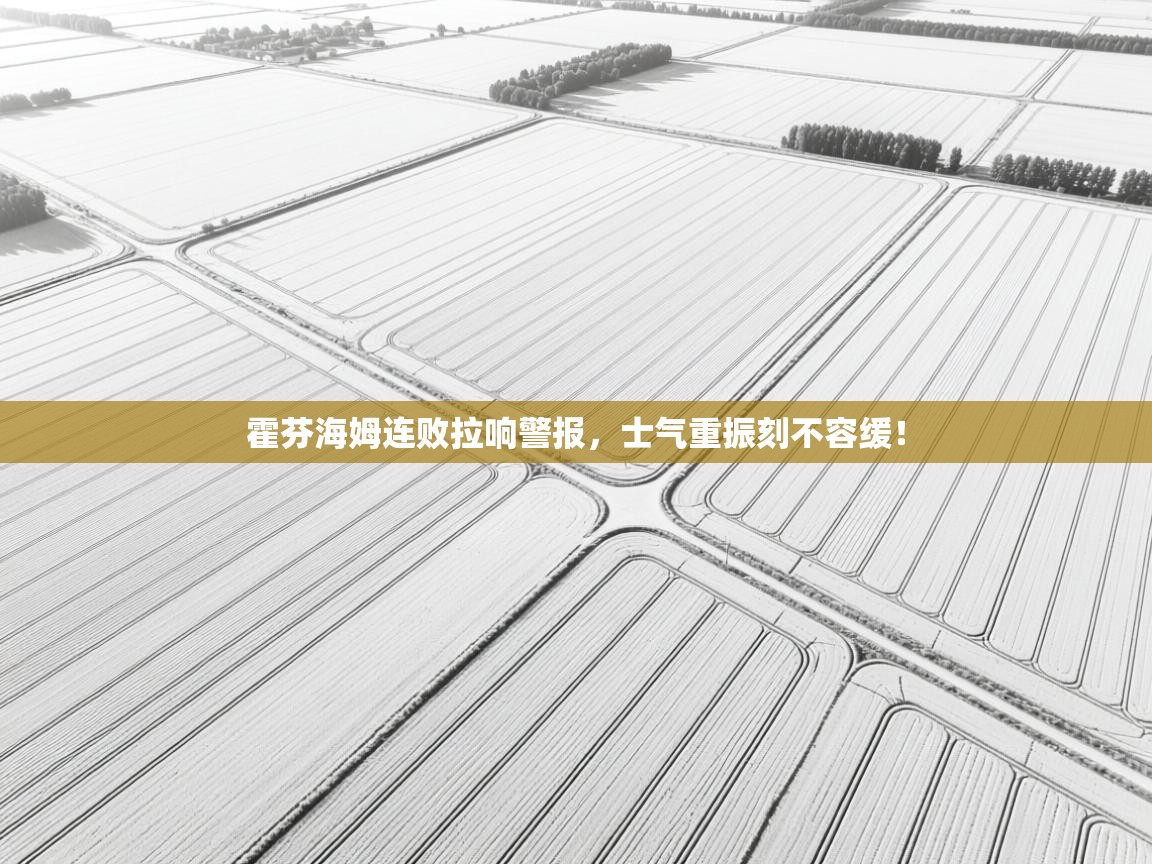 霍芬海姆连败拉响警报,士气重振刻不容缓! 第1张